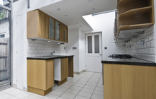 Holbeton kitchen extension leads